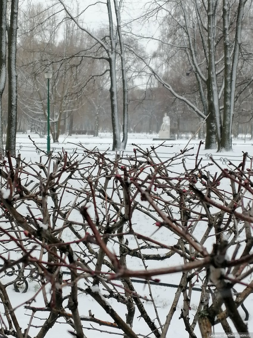 Санкт-Петербург: зима в апреле. Прогулка с собачками - часть первая