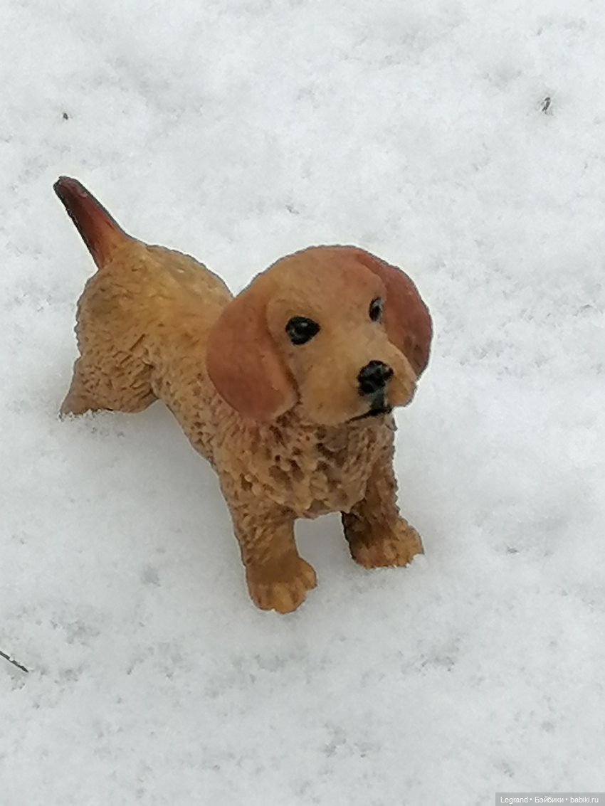 Санкт-Петербург: зима в апреле. Прогулка с собачками - часть первая