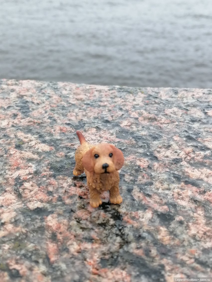 Санкт-Петербург: зима в апреле. Прогулка с собачками - часть вторая