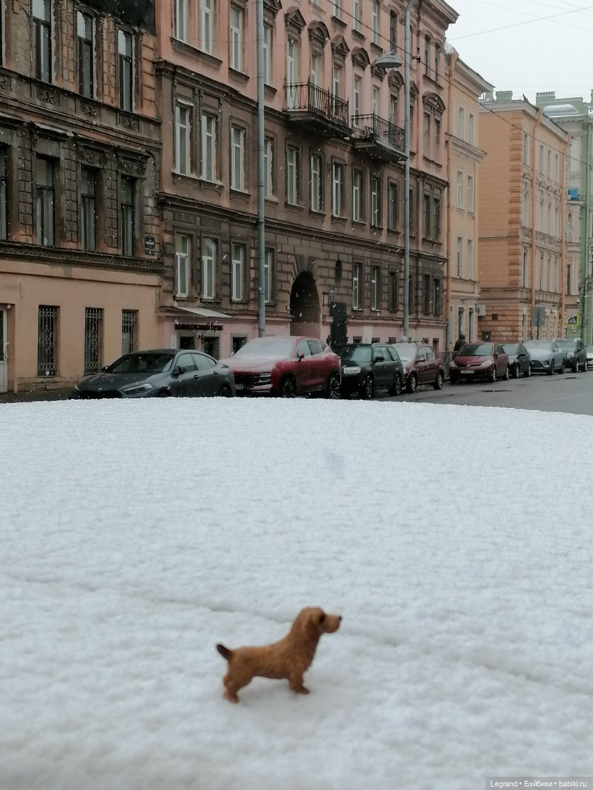 Санкт-Петербург: зима в апреле. Прогулка с собачками - часть первая (фото 10)