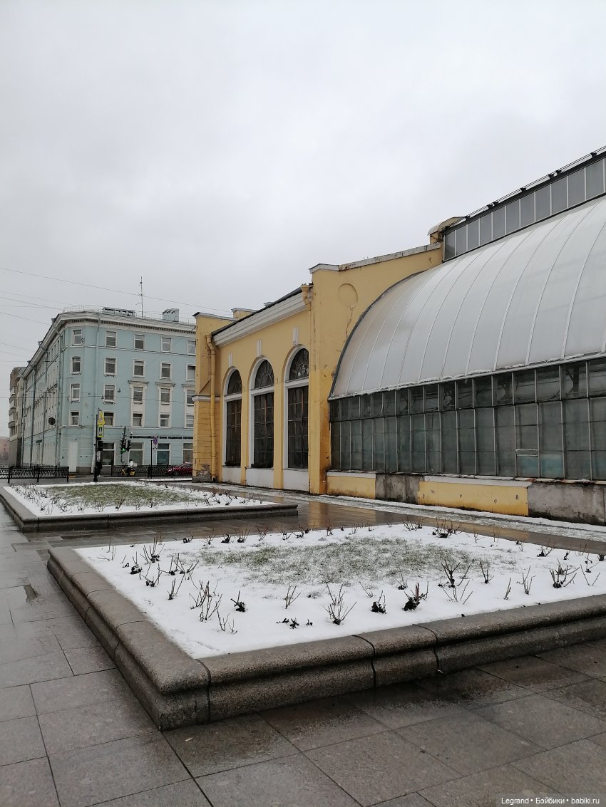 Санкт-Петербург: зима в апреле. Прогулка с собачками - часть вторая