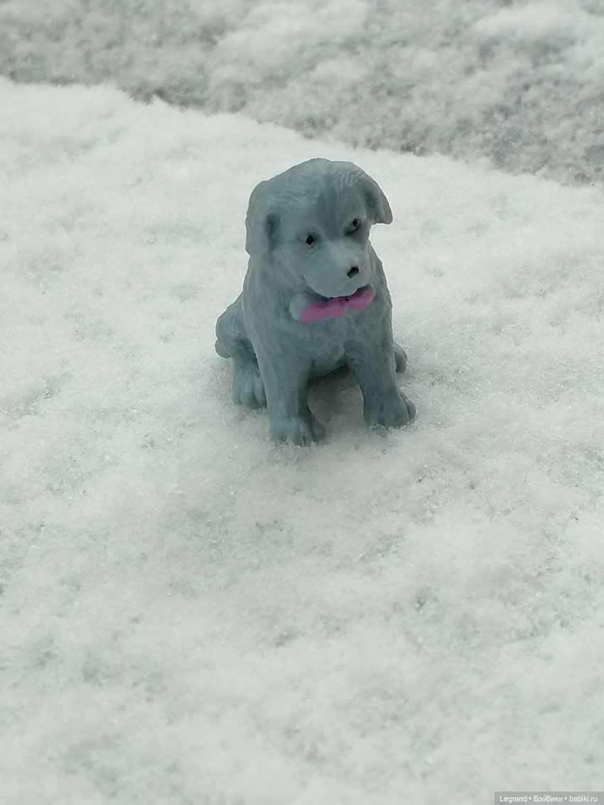 Санкт-Петербург: зима в апреле. Прогулка с собачками - часть первая (фото 8)