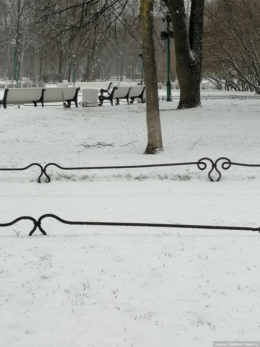 Санкт-Петербург: зима в апреле. Прогулка с собачками - часть первая