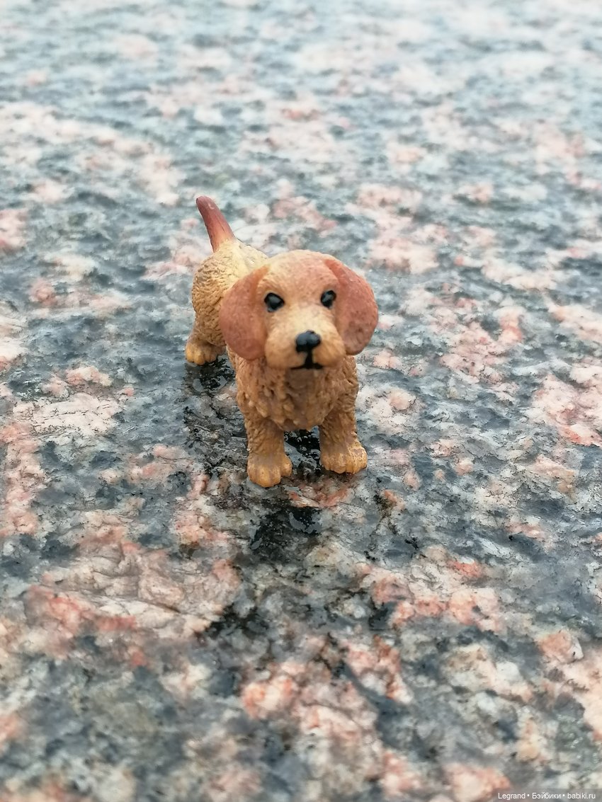 Санкт-Петербург: зима в апреле. Прогулка с собачками - часть вторая