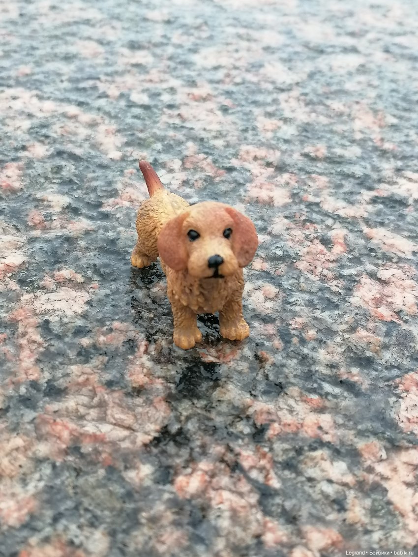 Санкт-Петербург: зима в апреле. Прогулка с собачками - часть вторая