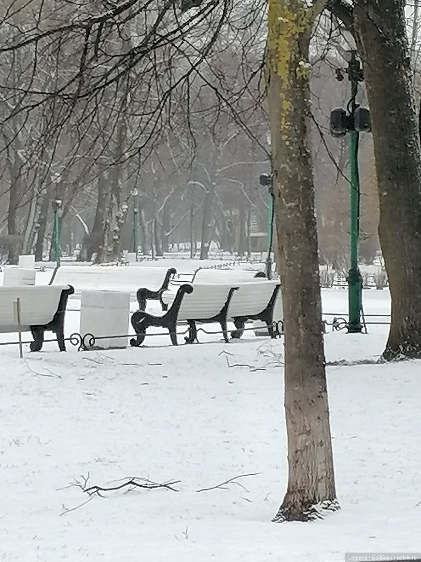 Санкт-Петербург: зима в апреле. Прогулка с собачками - часть первая