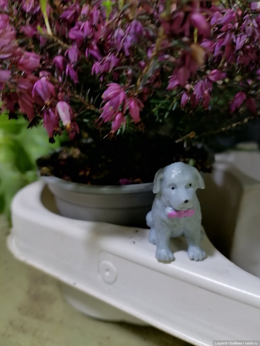 Санкт-Петербург: зима в апреле. Прогулка с собачками - часть вторая