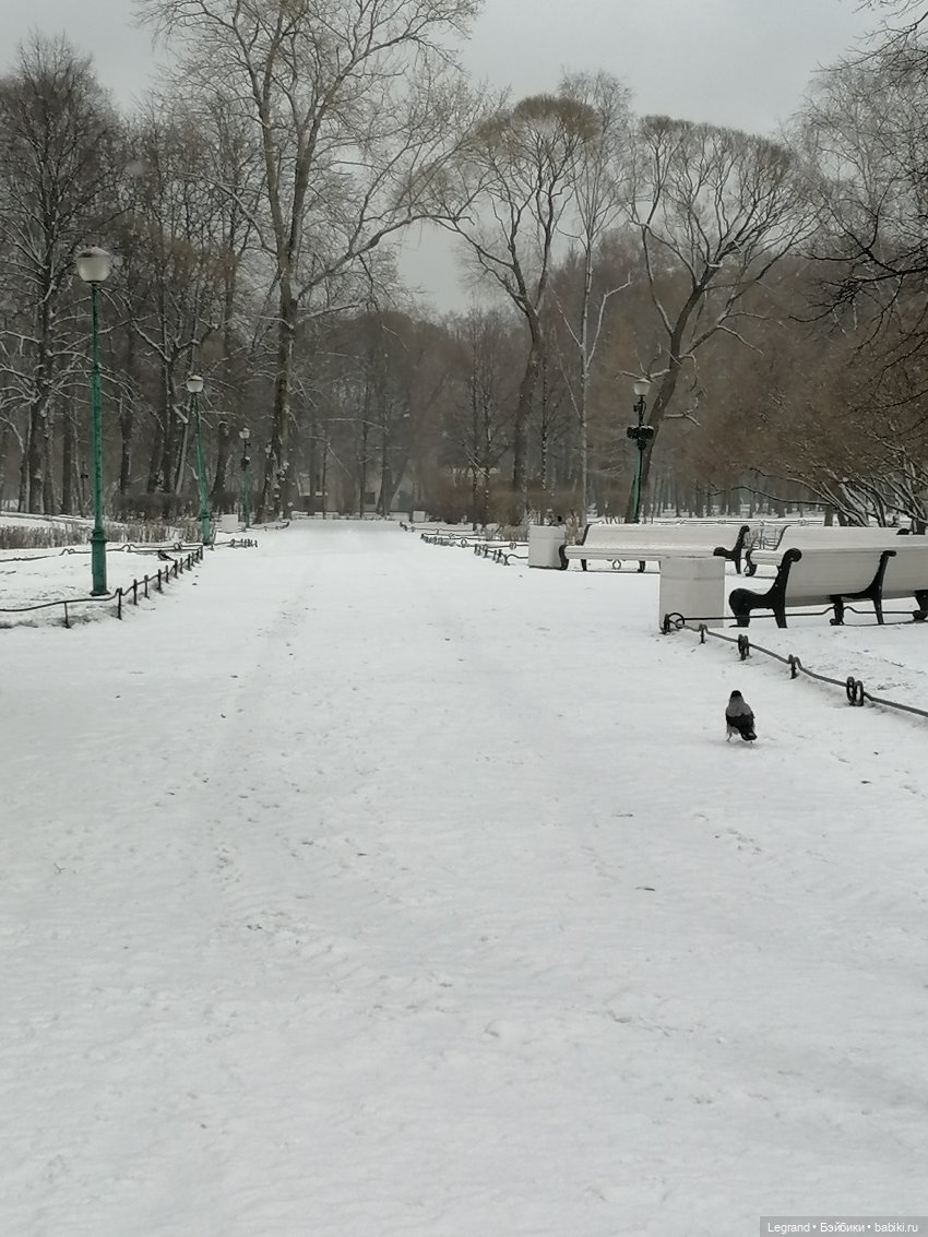 Санкт-Петербург: зима в апреле. Прогулка с собачками - часть первая