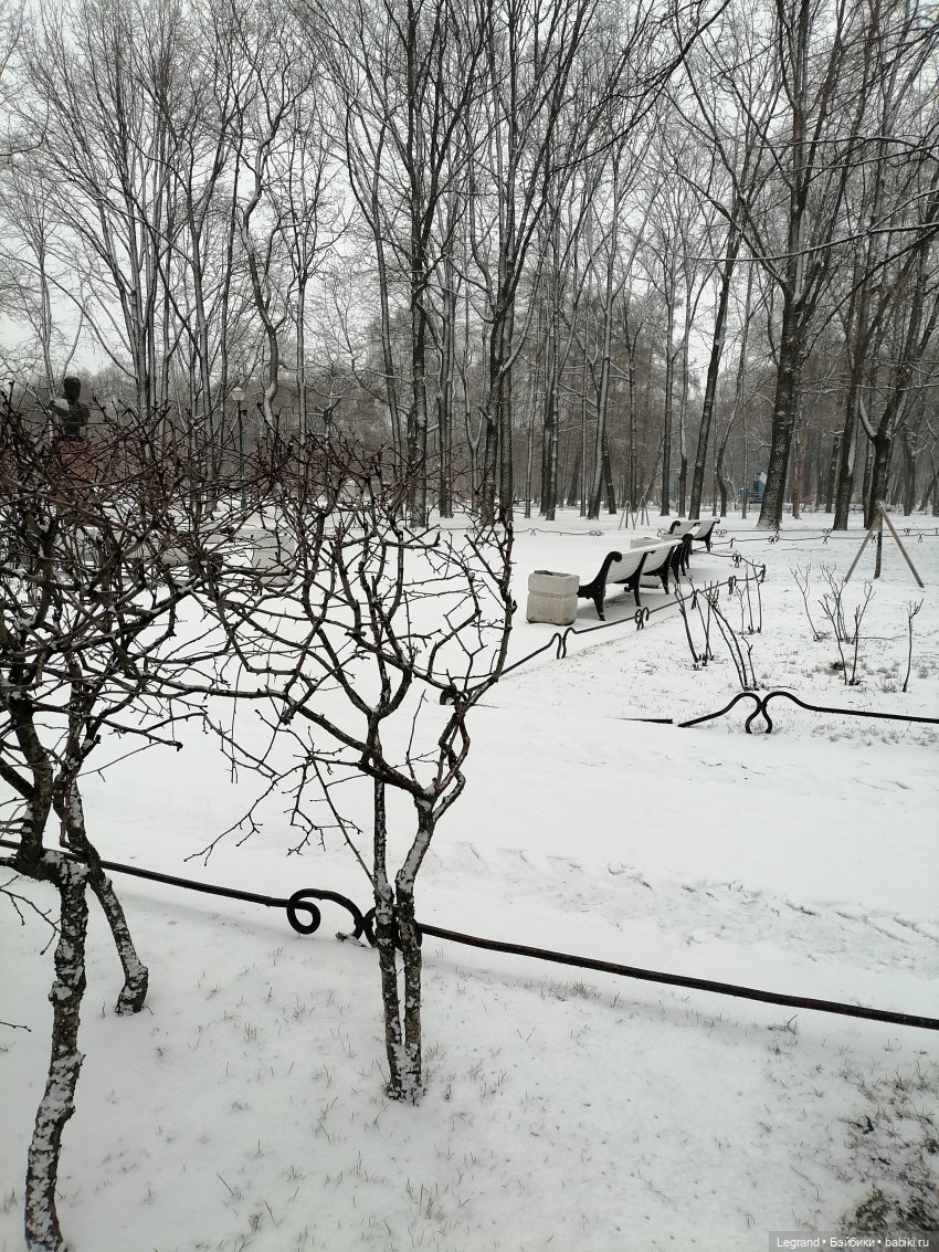 Санкт-Петербург: зима в апреле. Прогулка с собачками - часть первая