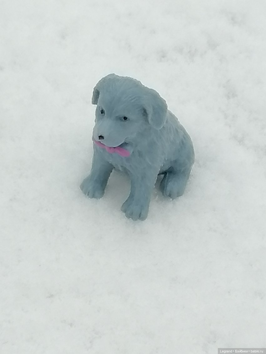 Санкт-Петербург: зима в апреле. Прогулка с собачками - часть вторая (фото 2)