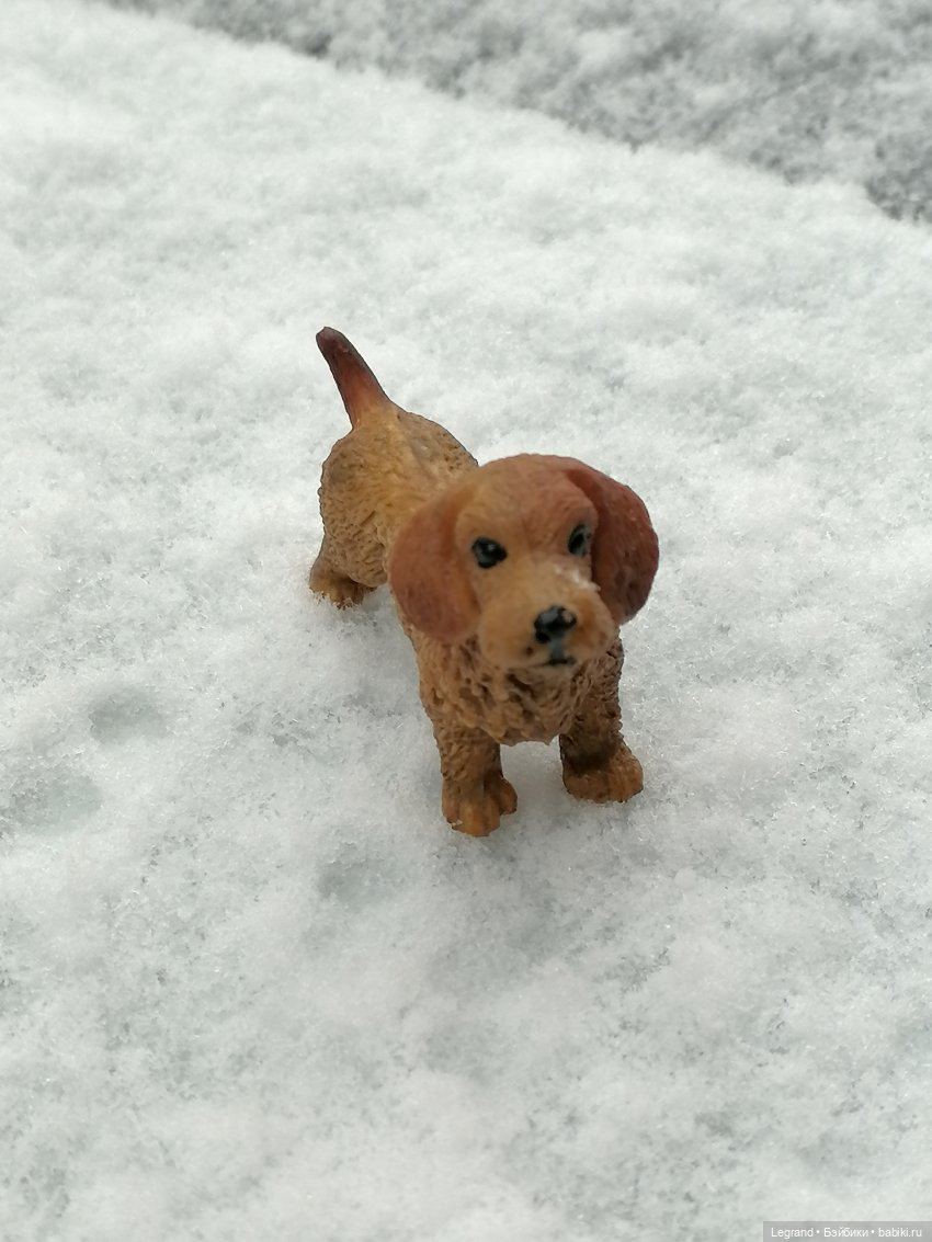Санкт-Петербург: зима в апреле. Прогулка с собачками - часть первая (фото 6)