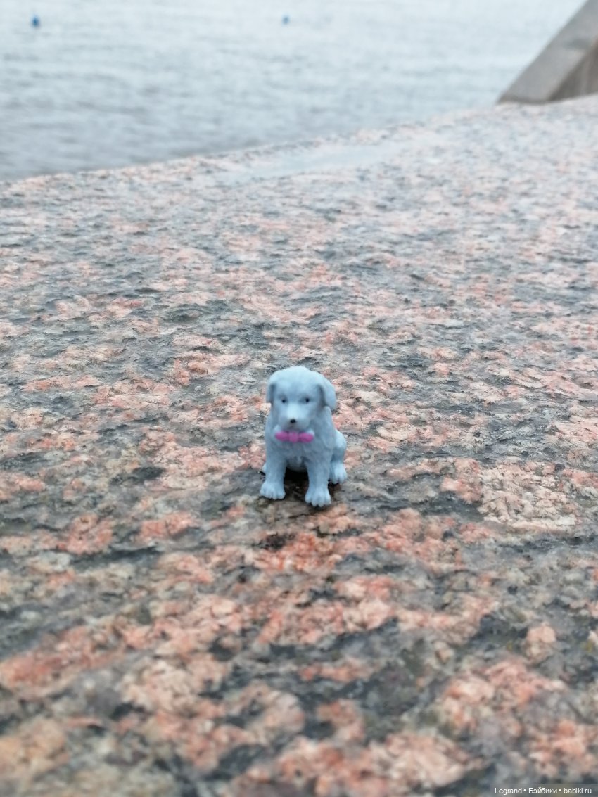 Санкт-Петербург: зима в апреле. Прогулка с собачками - часть вторая