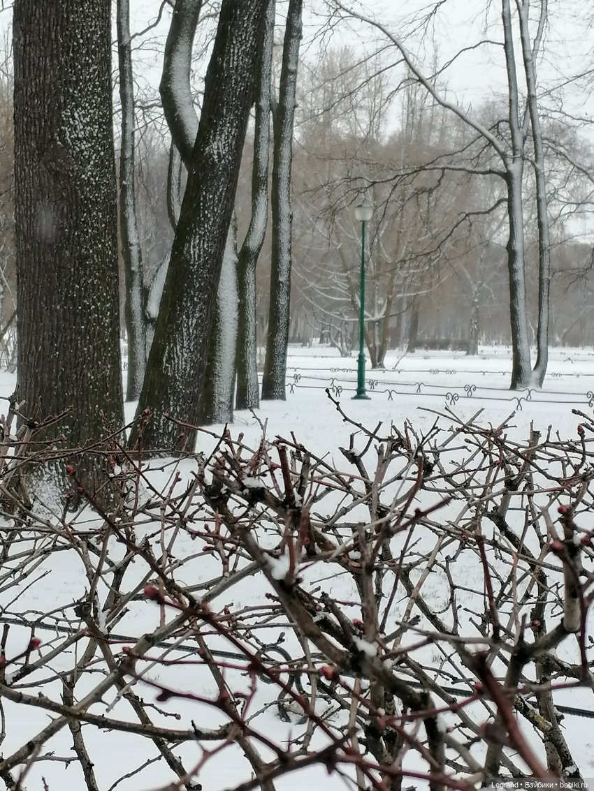 Санкт-Петербург: зима в апреле. Прогулка с собачками - часть первая
