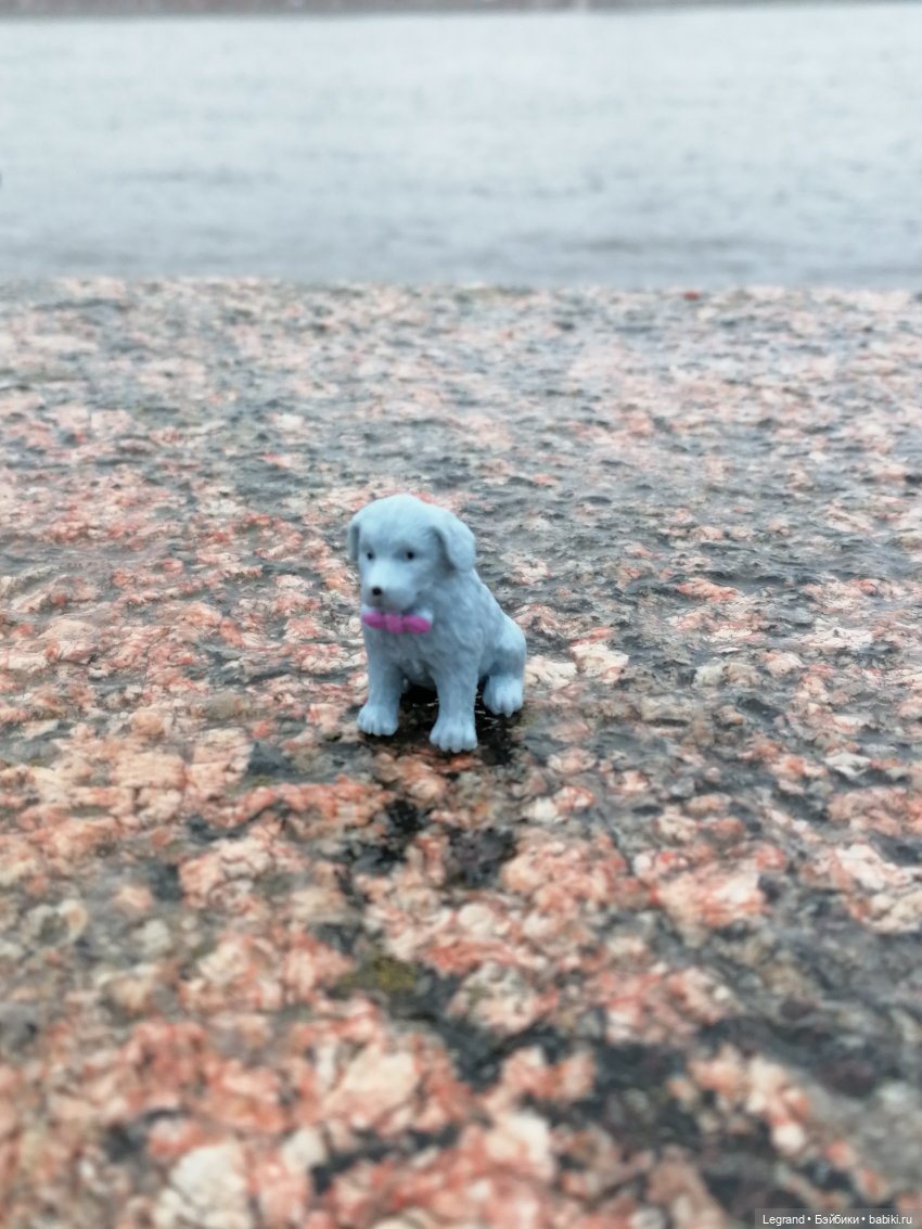 Санкт-Петербург: зима в апреле. Прогулка с собачками - часть вторая