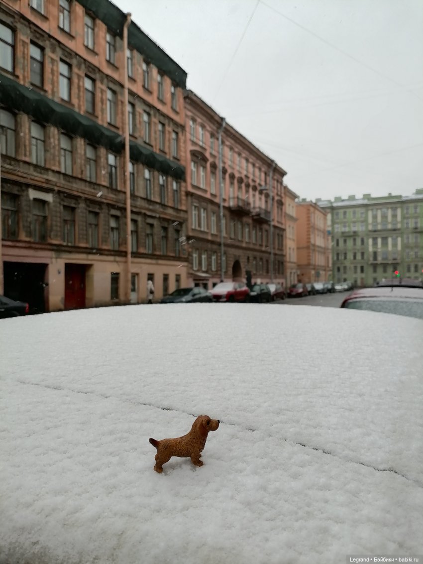 Санкт-Петербург: зима в апреле. Прогулка с собачками - часть первая
