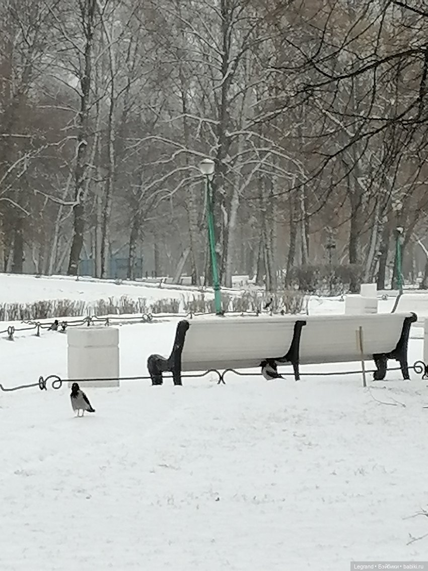 Санкт-Петербург: зима в апреле. Прогулка с собачками - часть первая