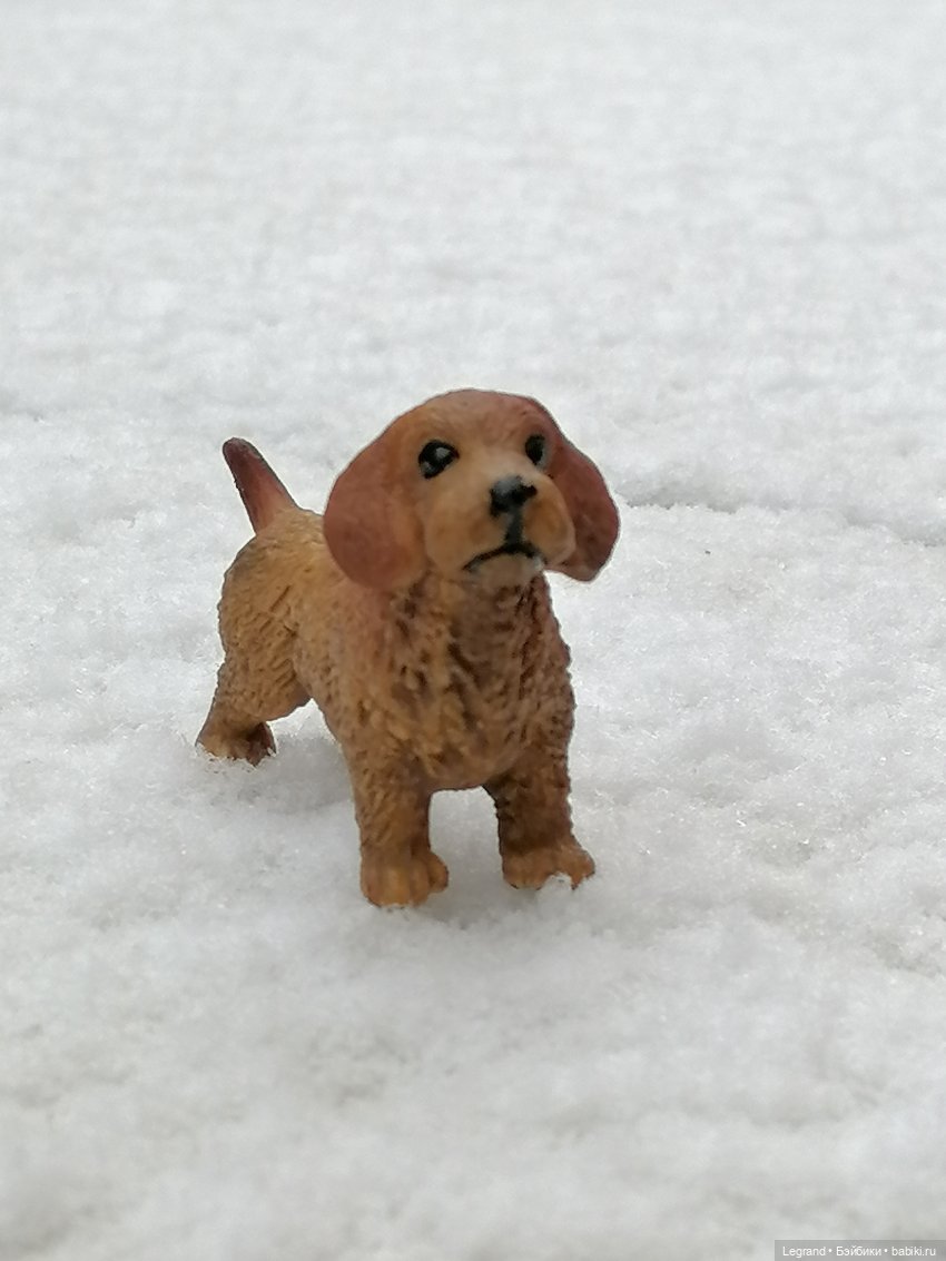 Санкт-Петербург: зима в апреле. Прогулка с собачками - часть первая