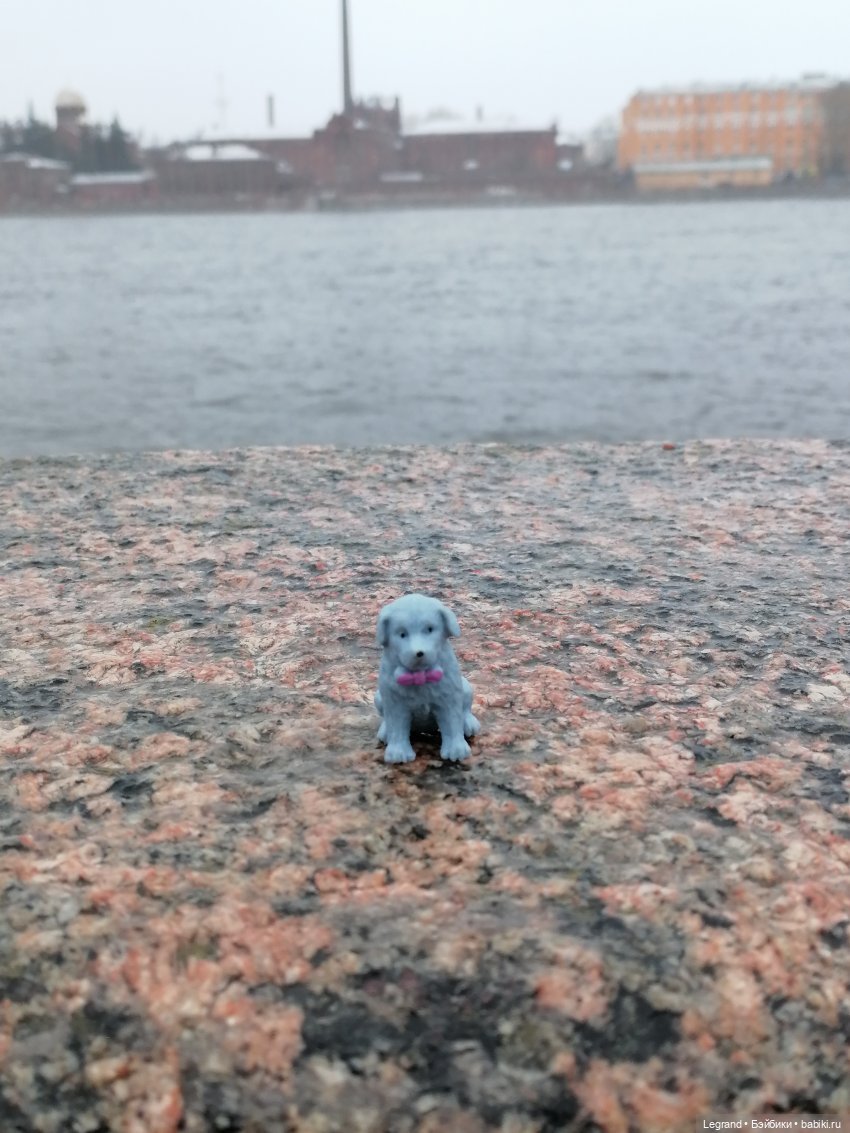 Санкт-Петербург: зима в апреле. Прогулка с собачками - часть вторая