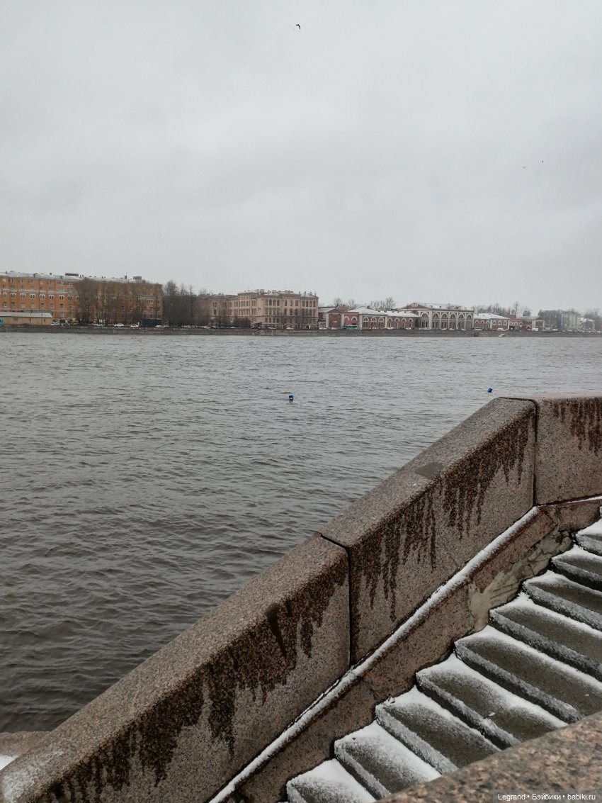 Санкт-Петербург: зима в апреле. Прогулка с собачками - часть вторая