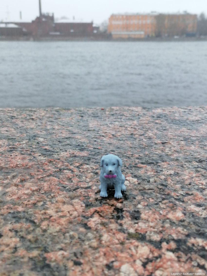 Санкт-Петербург: зима в апреле. Прогулка с собачками - часть вторая