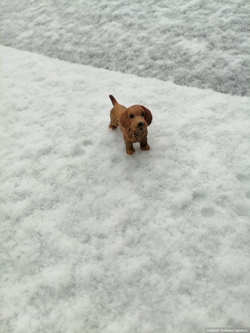 Санкт-Петербург: зима в апреле. Прогулка с собачками - часть первая (фото 5)