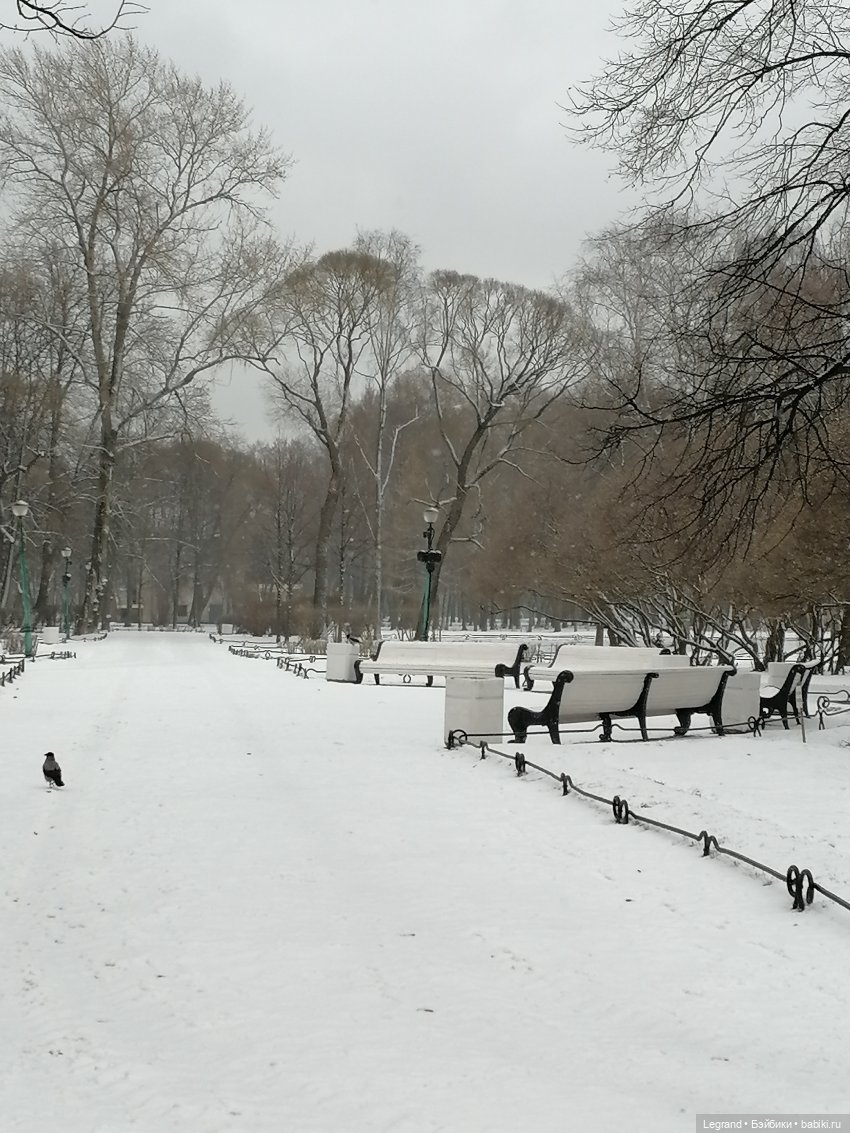 Санкт-Петербург: зима в апреле. Прогулка с собачками - часть первая