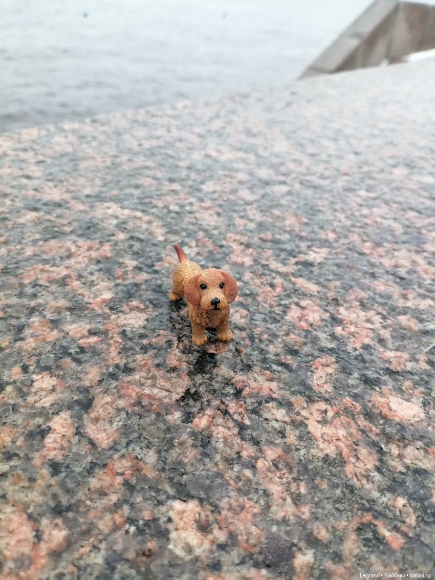 Санкт-Петербург: зима в апреле. Прогулка с собачками - часть вторая