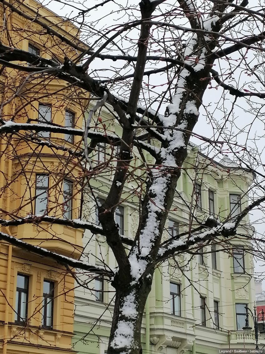 Санкт-Петербург: зима в апреле. Прогулка с собачками - часть первая