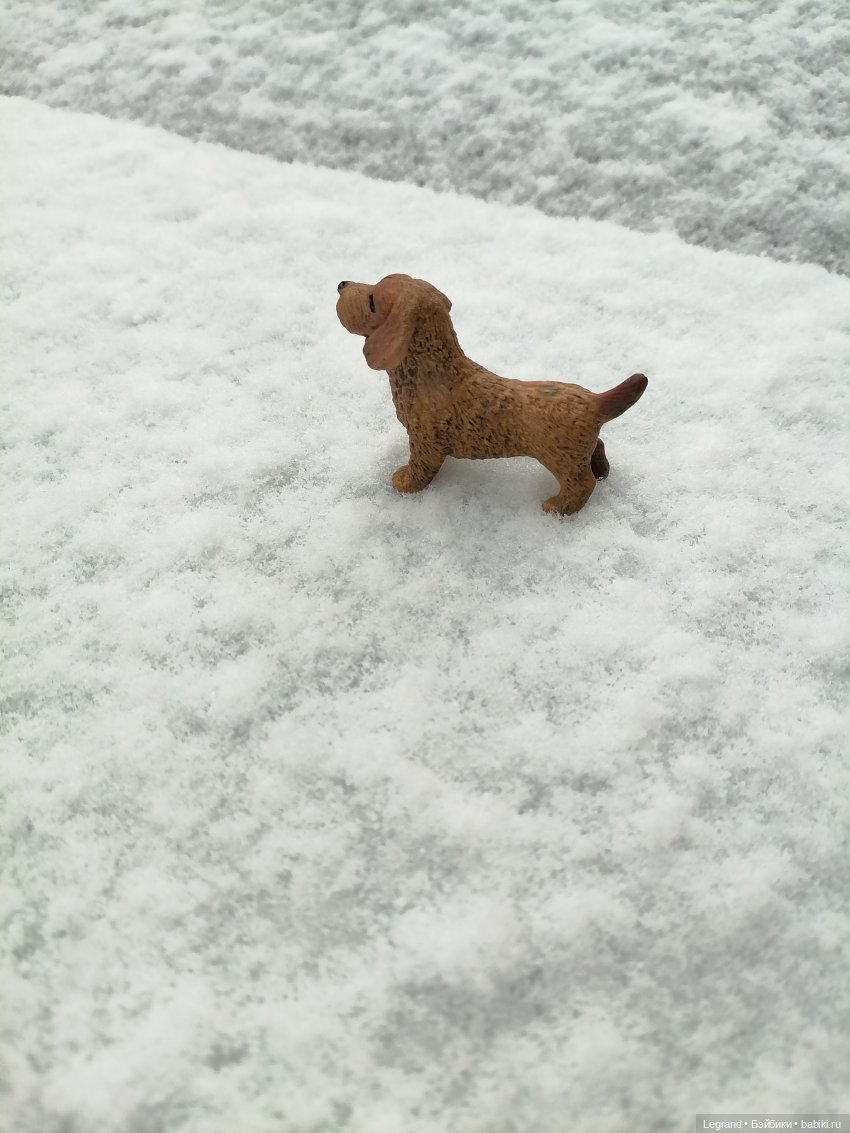 Санкт-Петербург: зима в апреле. Прогулка с собачками - часть первая (фото 4)