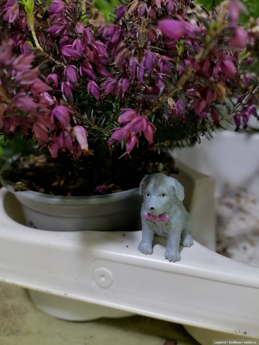 Санкт-Петербург: зима в апреле. Прогулка с собачками - часть вторая (фото 10)