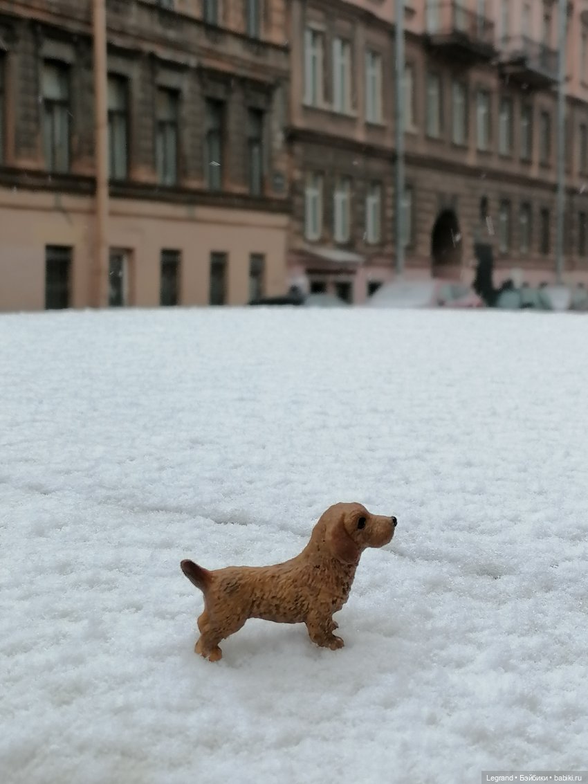 Санкт-Петербург: зима в апреле. Прогулка с собачками - часть первая (фото 9)