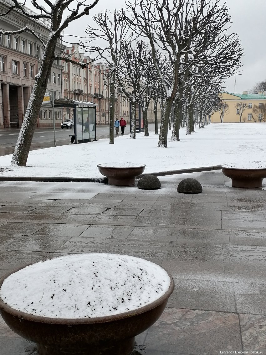 Санкт-Петербург: зима в апреле. Прогулка с собачками - часть вторая