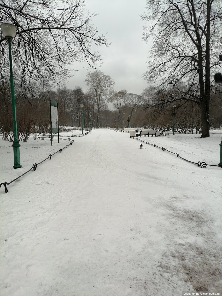 Санкт-Петербург: зима в апреле. Прогулка с собачками - часть первая