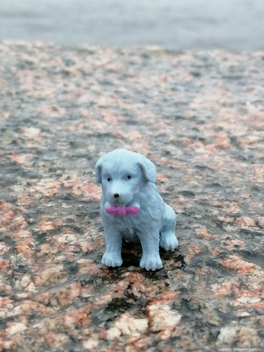 Санкт-Петербург: зима в апреле. Прогулка с собачками - часть вторая