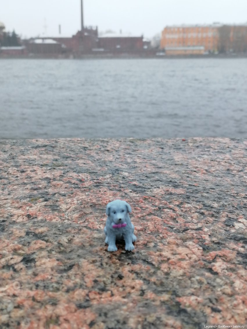 Санкт-Петербург: зима в апреле. Прогулка с собачками - часть вторая