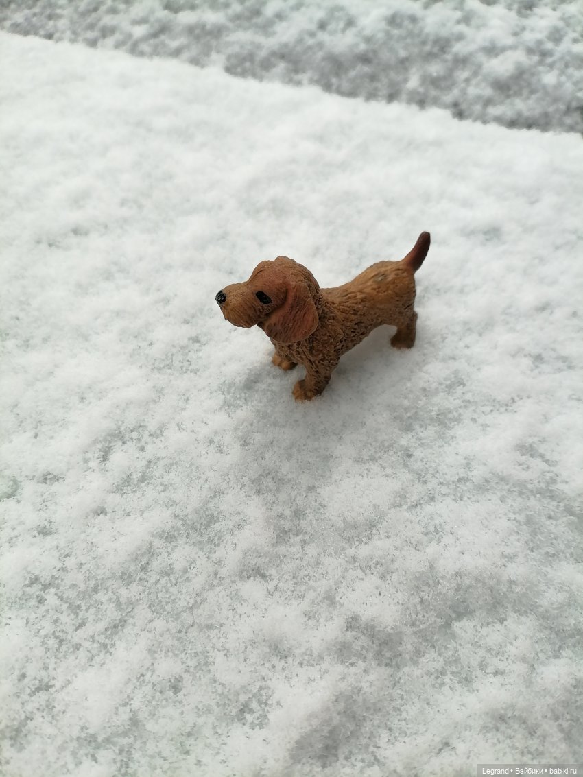 Санкт-Петербург: зима в апреле. Прогулка с собачками - часть первая (фото 3)