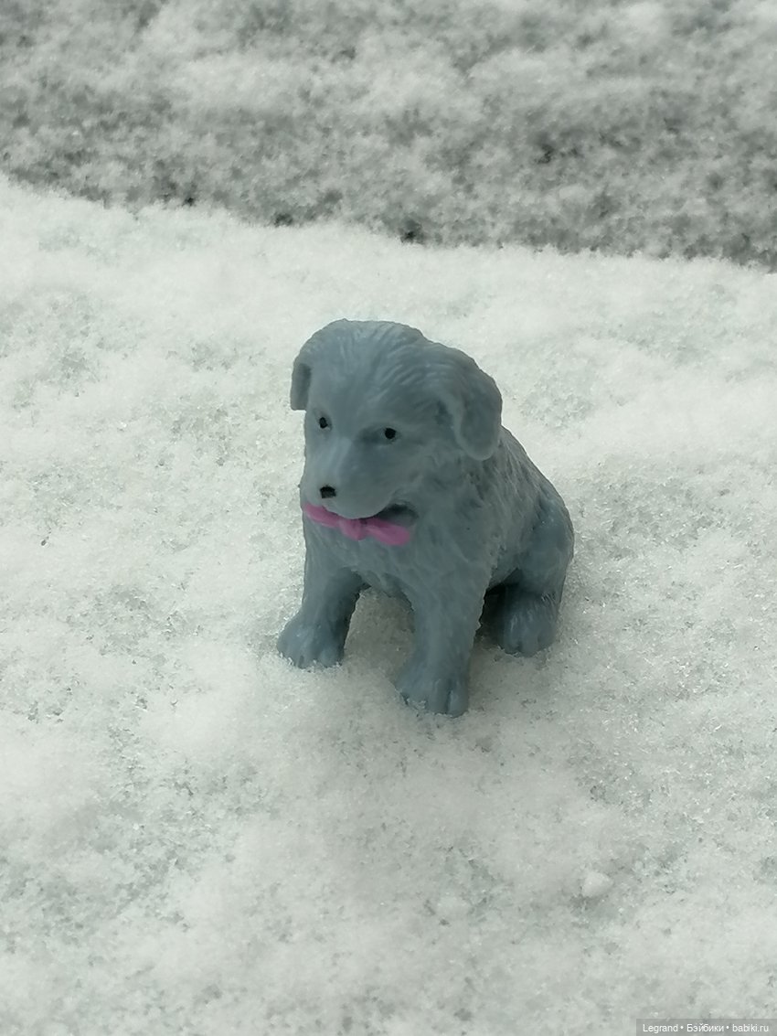 Санкт-Петербург: зима в апреле. Прогулка с собачками - часть первая (фото 7)