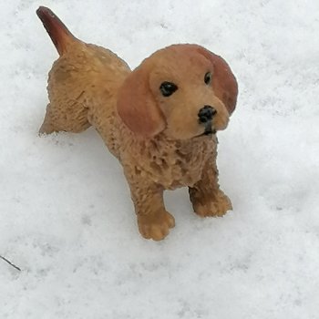 Санкт-Петербург: зима в апреле. Прогулка с собачками - часть первая