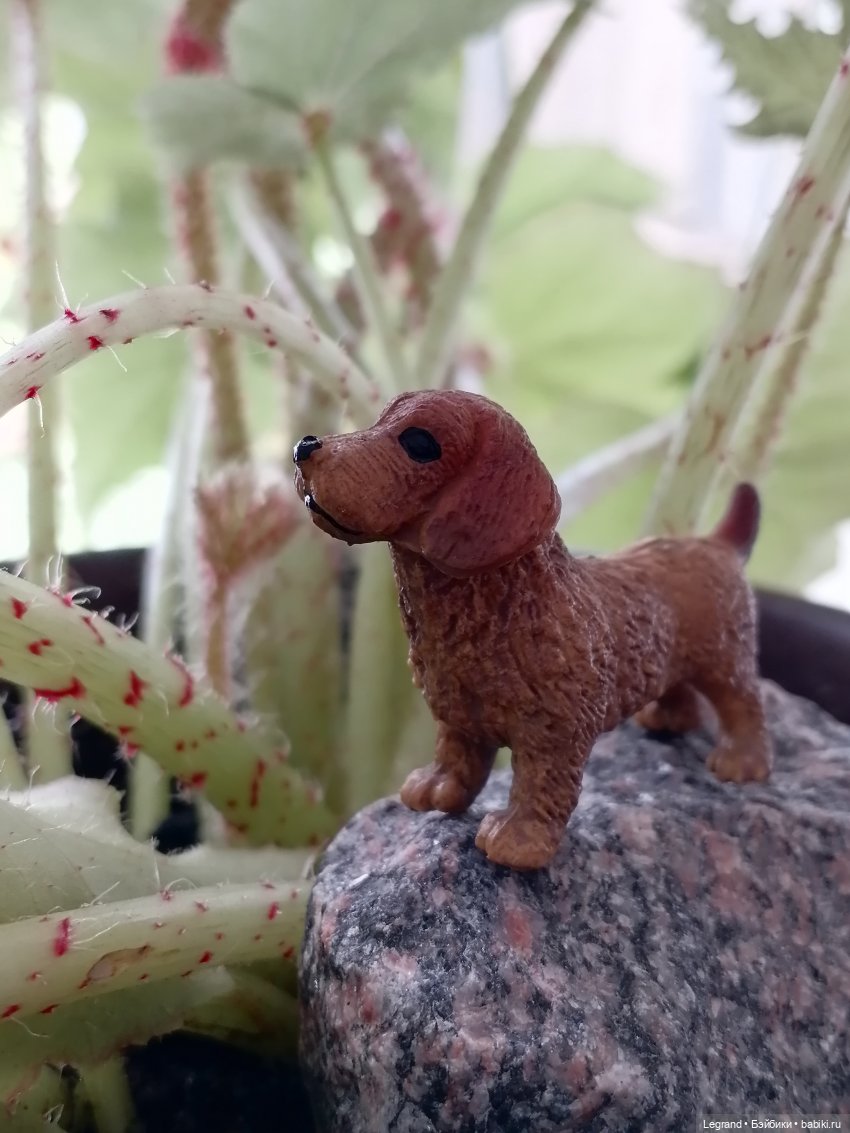 Лурения: любимая мелочь🤗 — Интересные игрушки и фигурки (разное): редкие (фото 2)