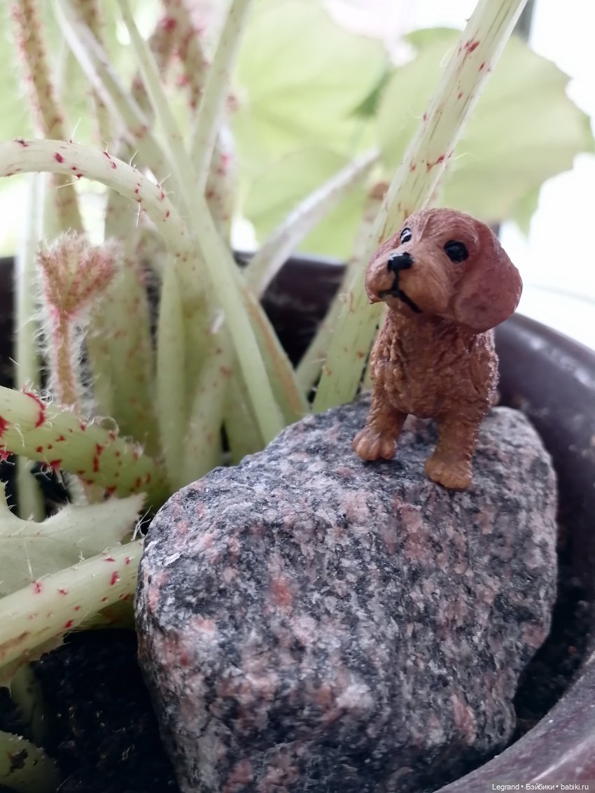 Лурения: любимая мелочь🤗 — Интересные игрушки и фигурки (разное): редкие