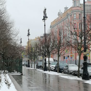 Санкт-Петербург: зима в апреле. Прогулка с собачками - часть вторая