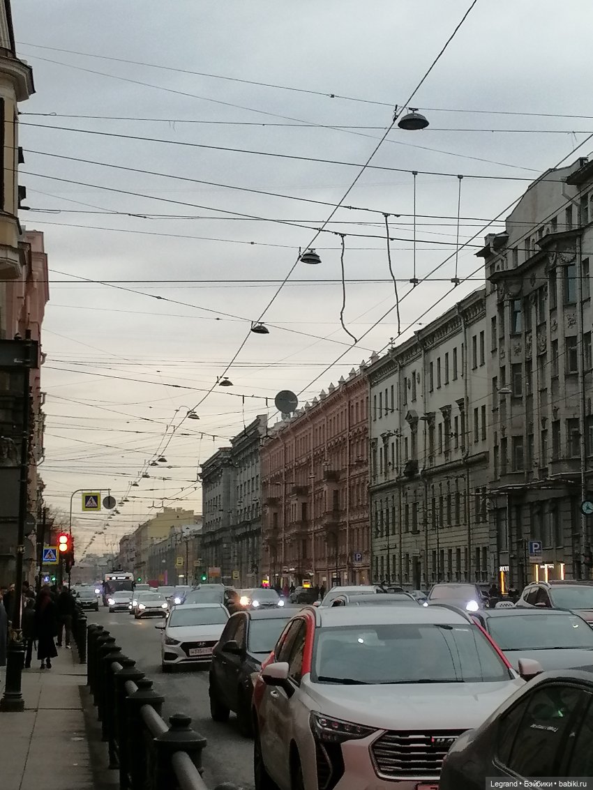 Апрельский Санкт-Петербург: Прогулка с Милошем