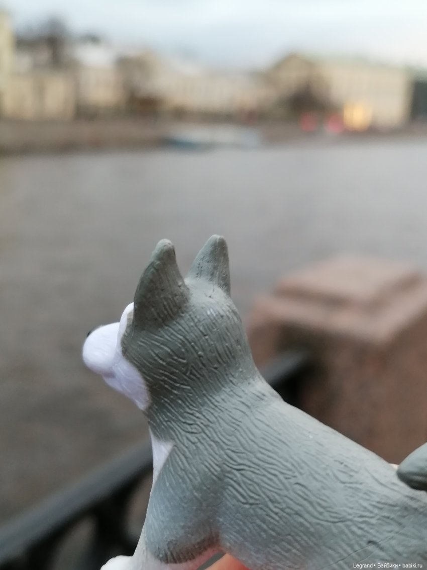 Апрельский Санкт-Петербург: Прогулка с Милошем