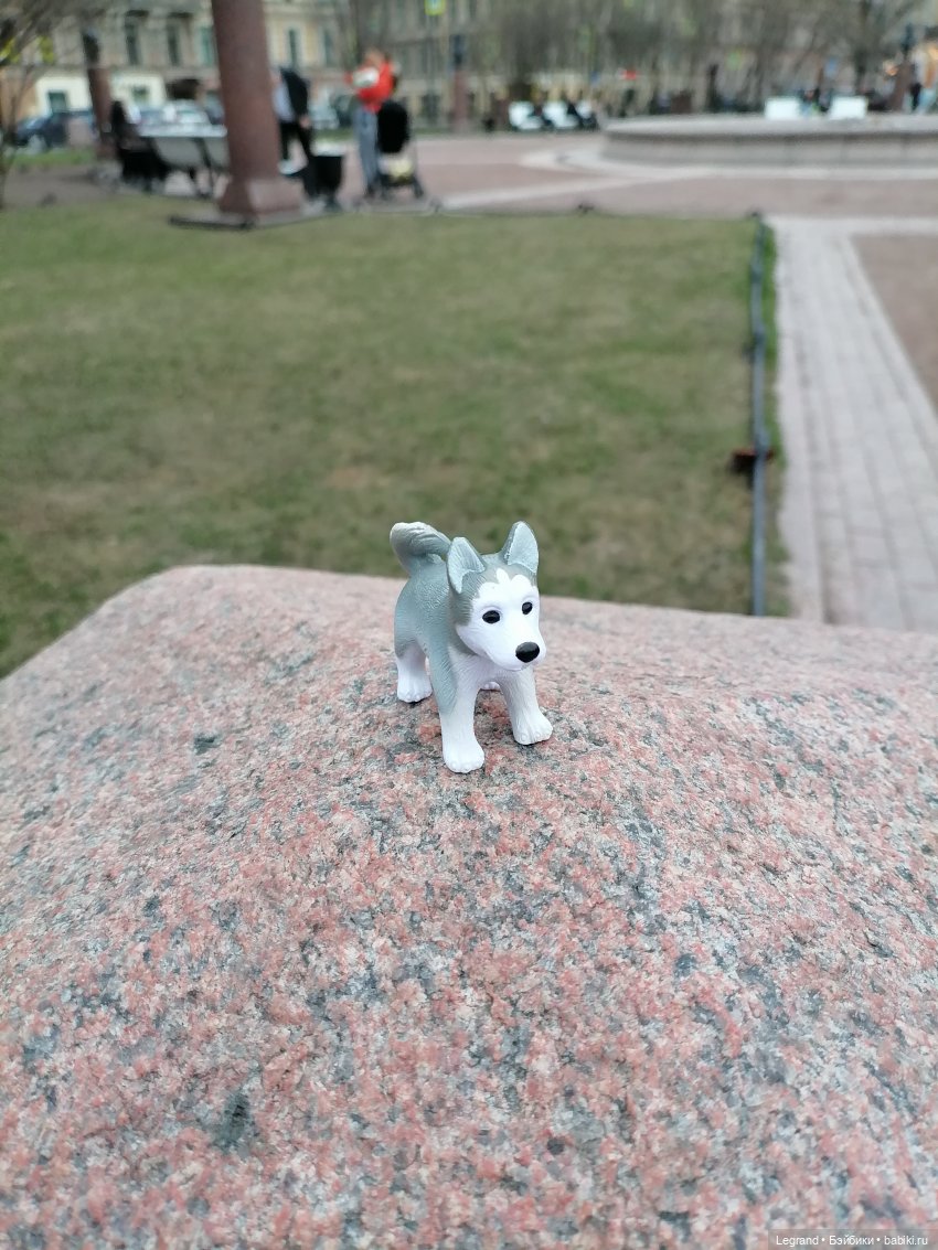 Апрельский Санкт-Петербург: Прогулка с Милошем