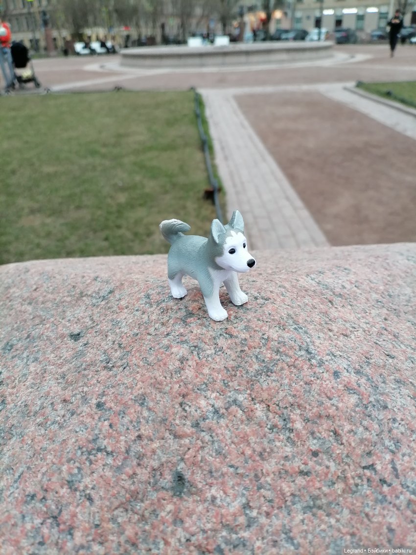 Апрельский Санкт-Петербург: Прогулка с Милошем