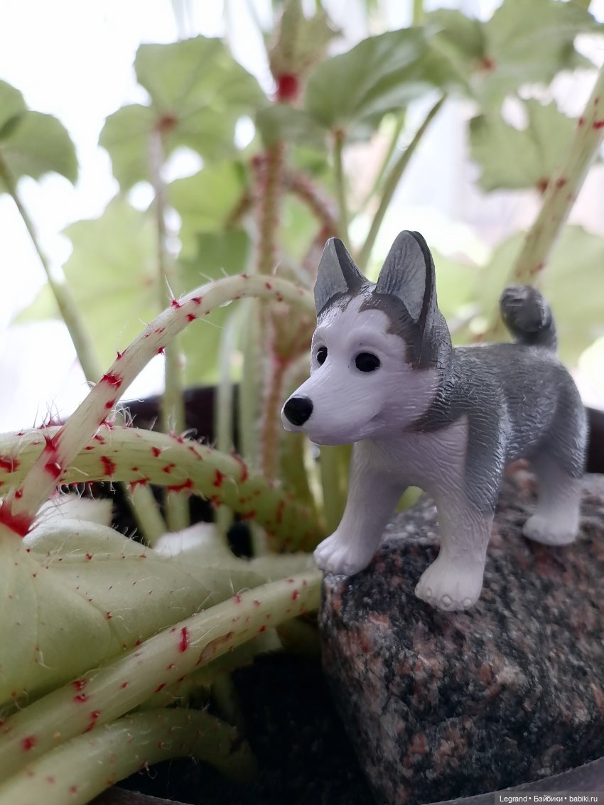 Лурения: любимая мелочь🤗 — Интересные игрушки и фигурки (разное): редкие (фото 4)