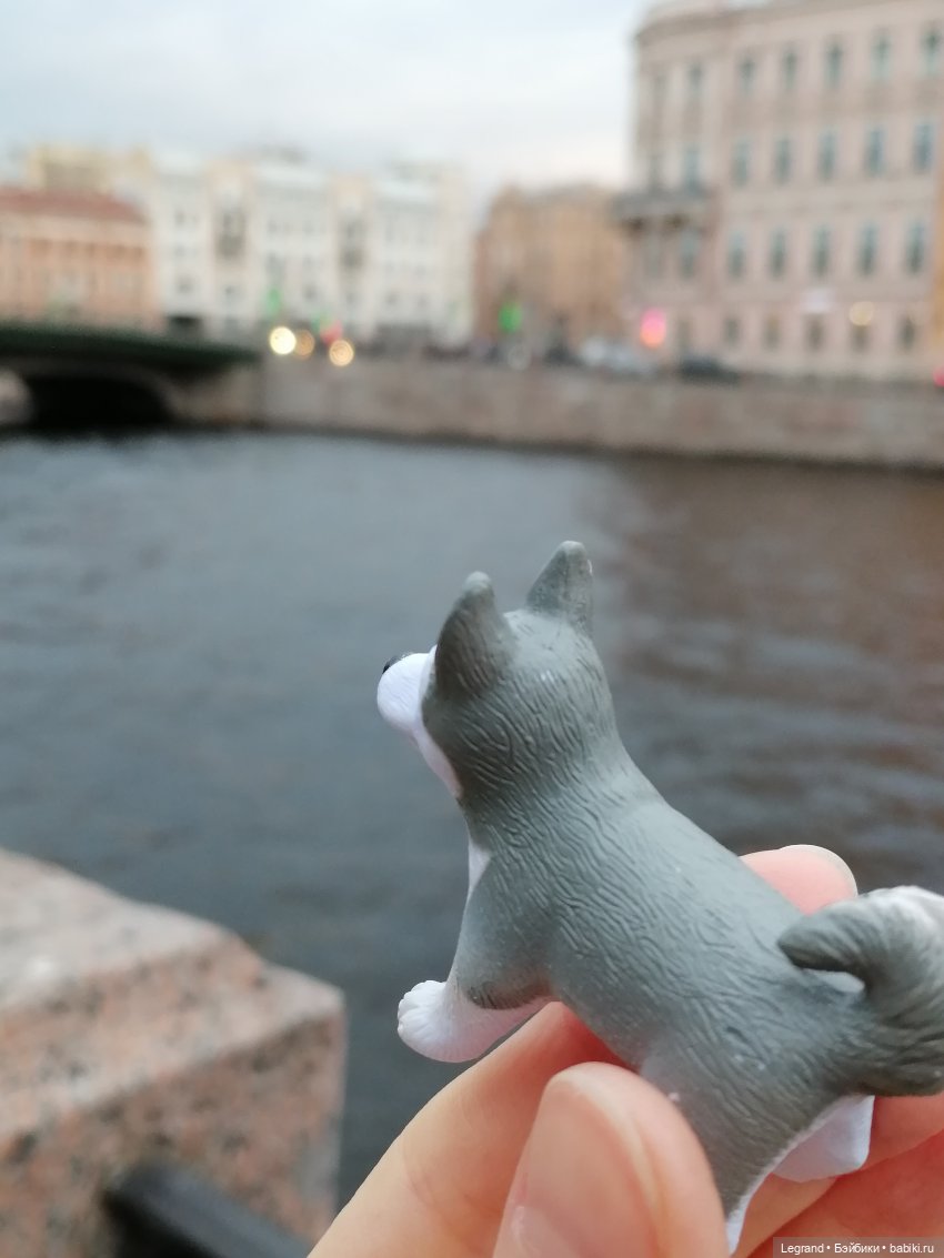 Апрельский Санкт-Петербург: Прогулка с Милошем