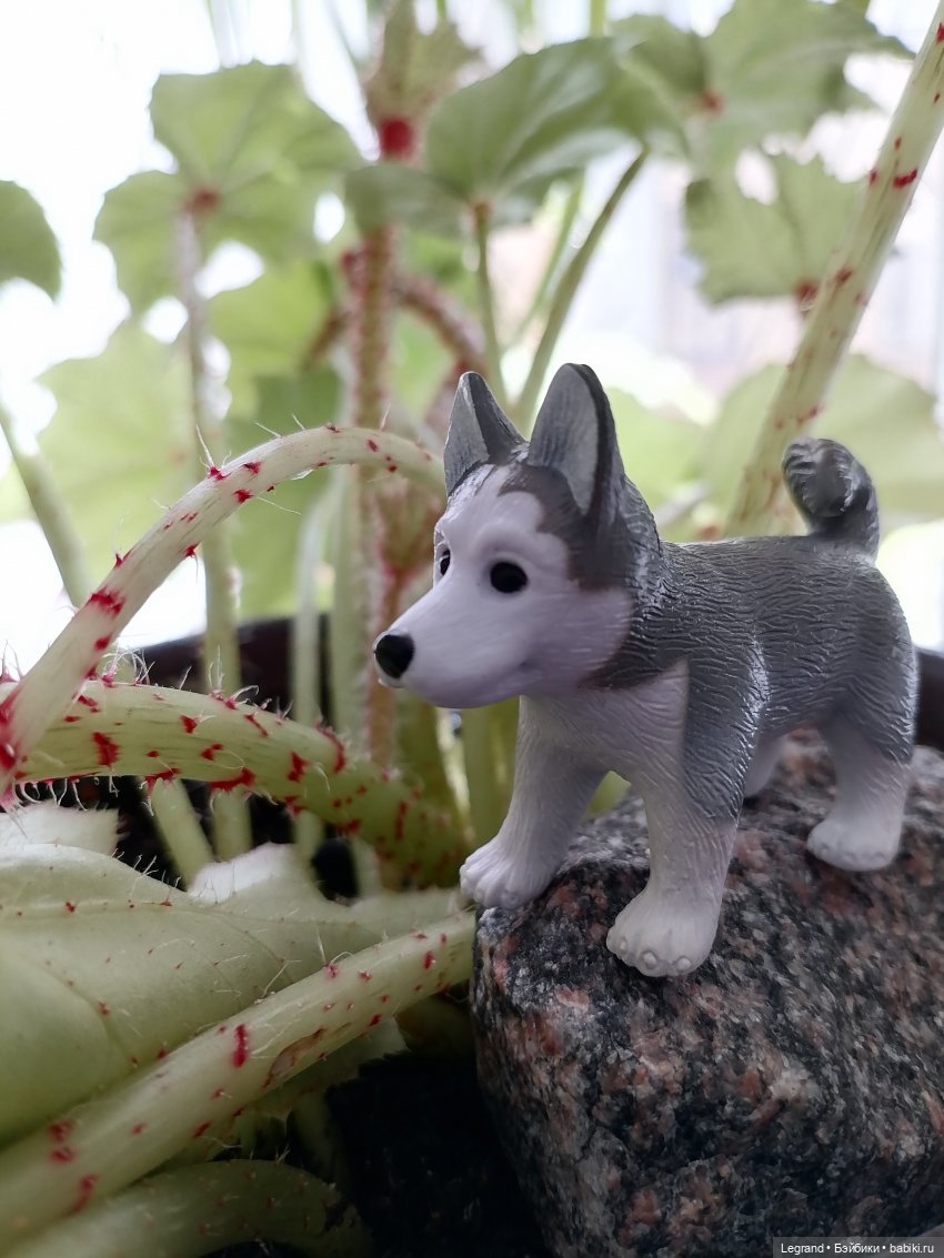 Лурения: любимая мелочь🤗 — Интересные игрушки и фигурки (разное): редкие (фото 5)