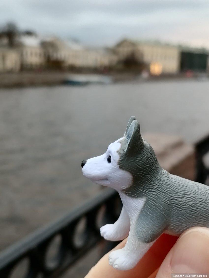 Апрельский Санкт-Петербург: Прогулка с Милошем