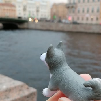 Апрельский Санкт-Петербург: Прогулка с Милошем